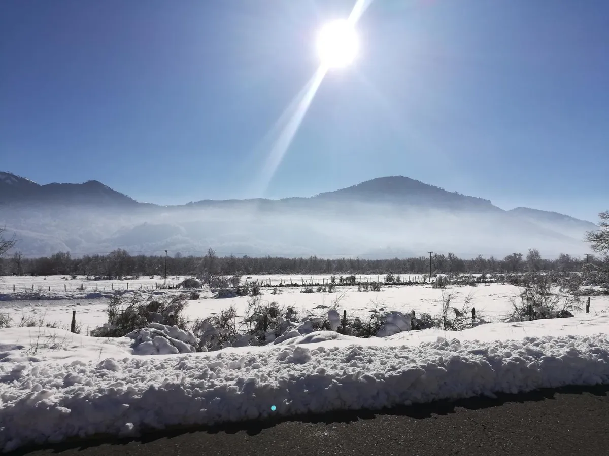 Cabañas Pino Solo, Lonquimay - Foto 3