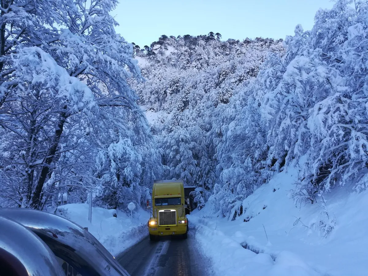 Cabañas Pino Solo, Lonquimay - Foto 4