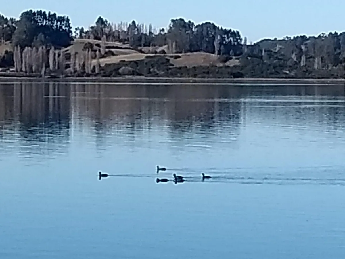 Reflejo de Luna, Ten Ten - Foto 4