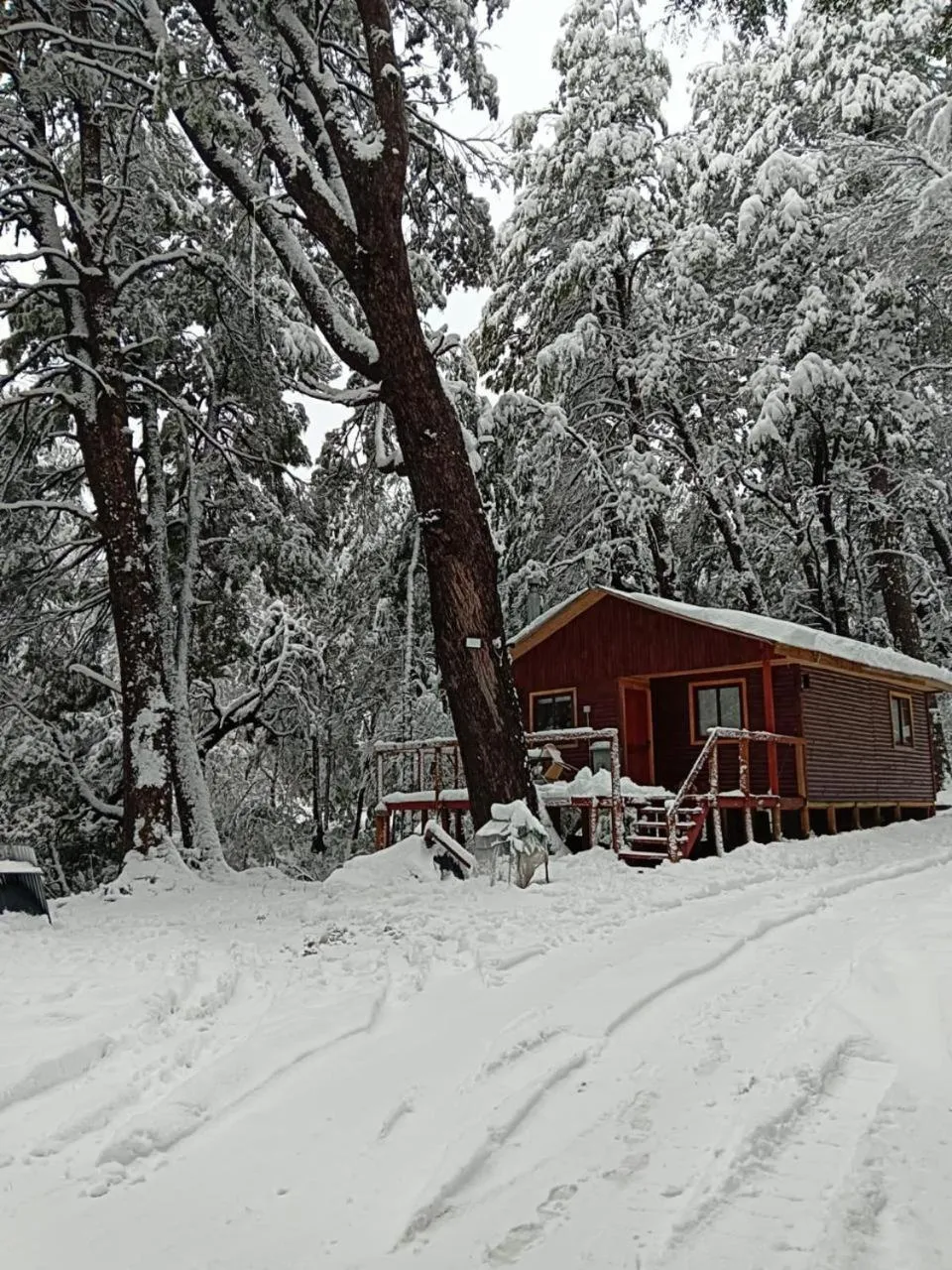 Cabañas Termas de Chillán - Foto 3