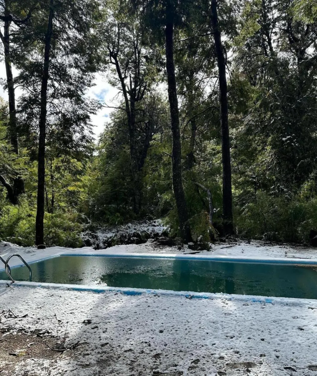 Cabañas Termas de Chillán - Foto 4