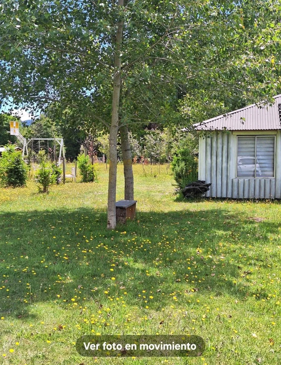 Cabañas Trabun Melipeuco - Foto 2