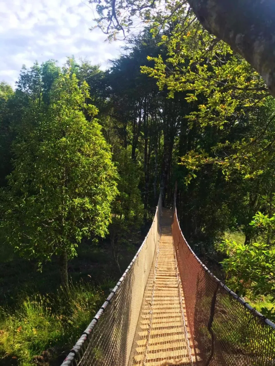Cabañas y Tinajas, Ancud - Foto 4