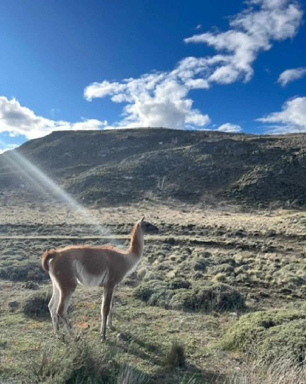 Cabañita Coyhaique, El Cerrillo - Foto 3