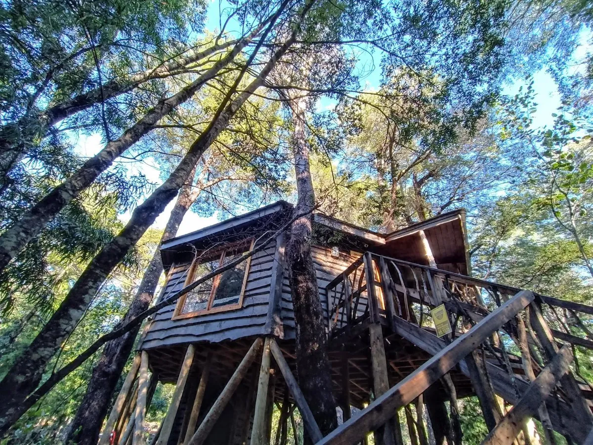 Cabañita del Árbol Cóndor en Las Trancas - Cabaña para 4 personas