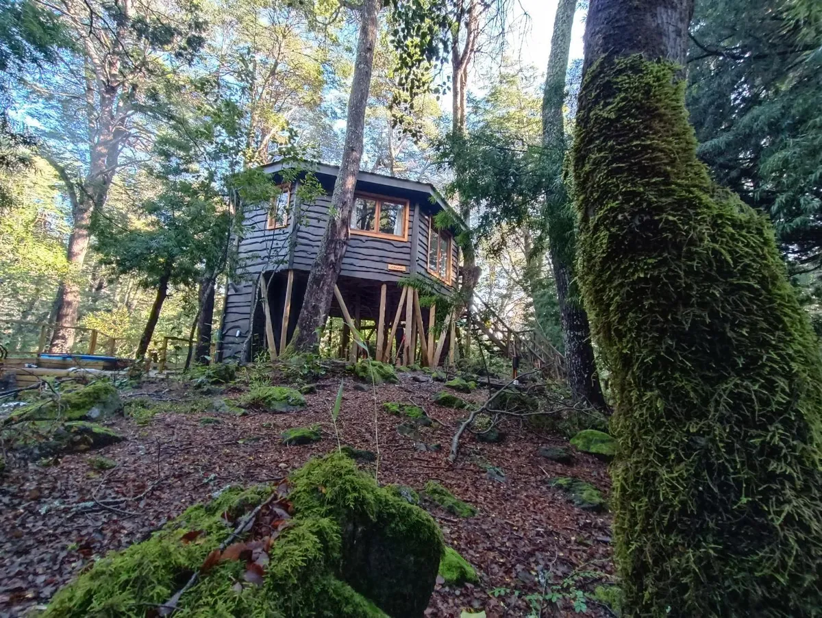 Cabañita del Árbol Cóndor - Foto 2