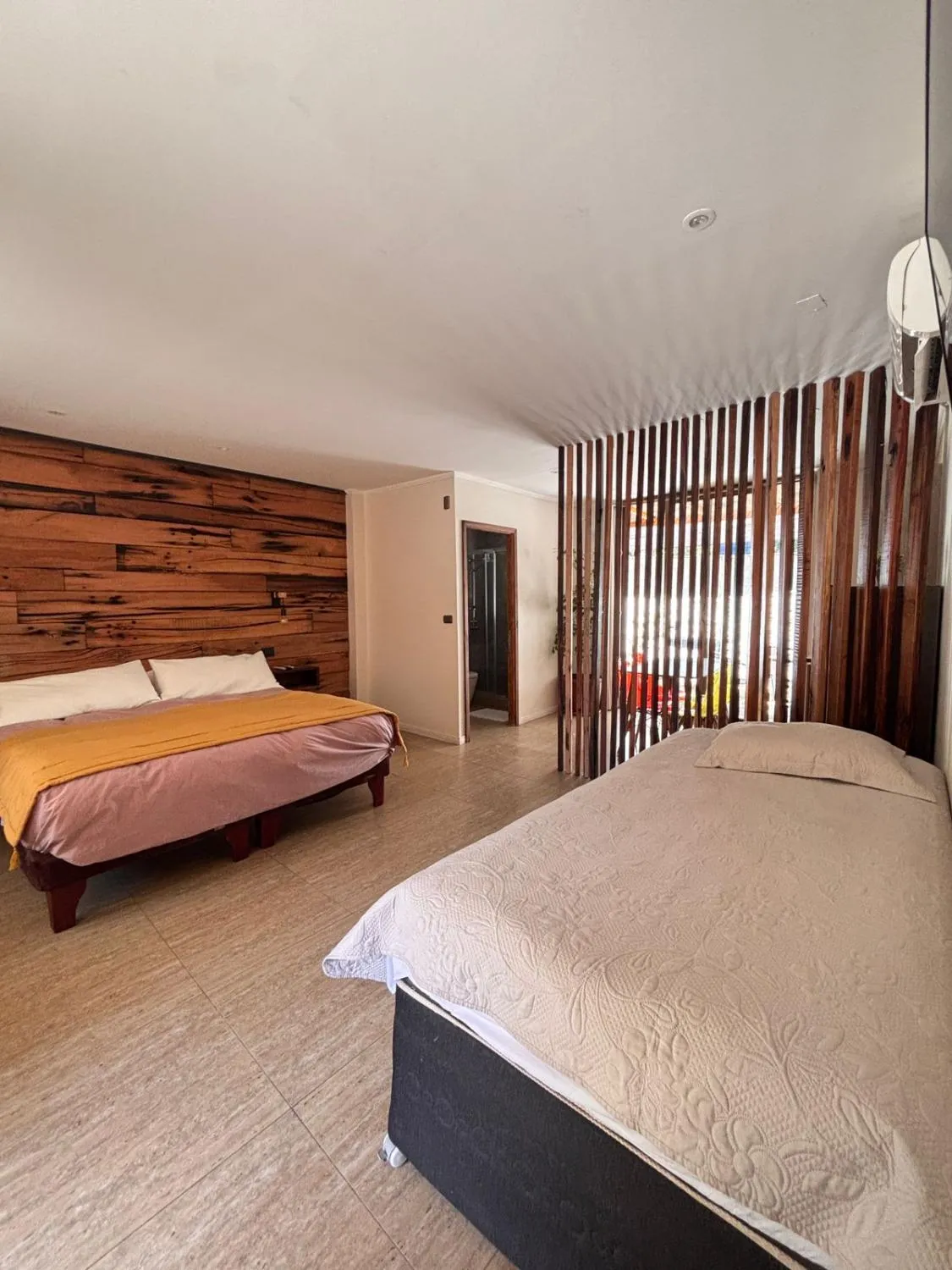 Cajón del Maipo Lodge - Foto 2