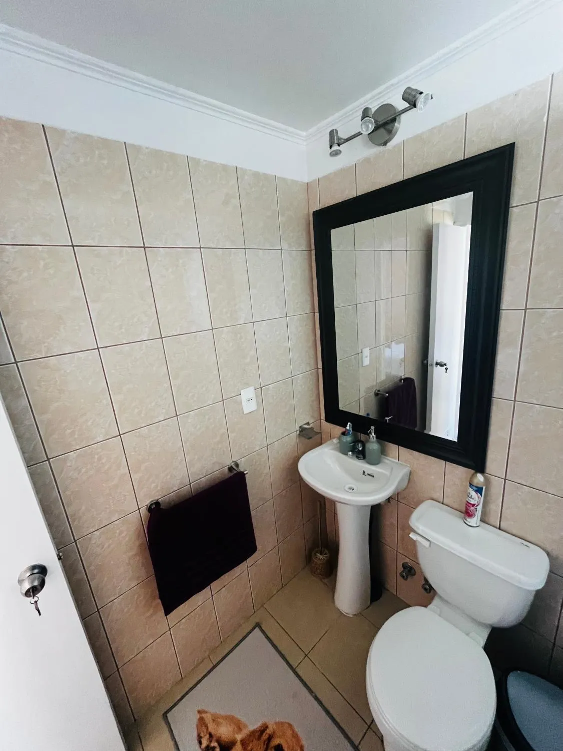 Casa 3 dorm acogedora Valdivia - Foto 4