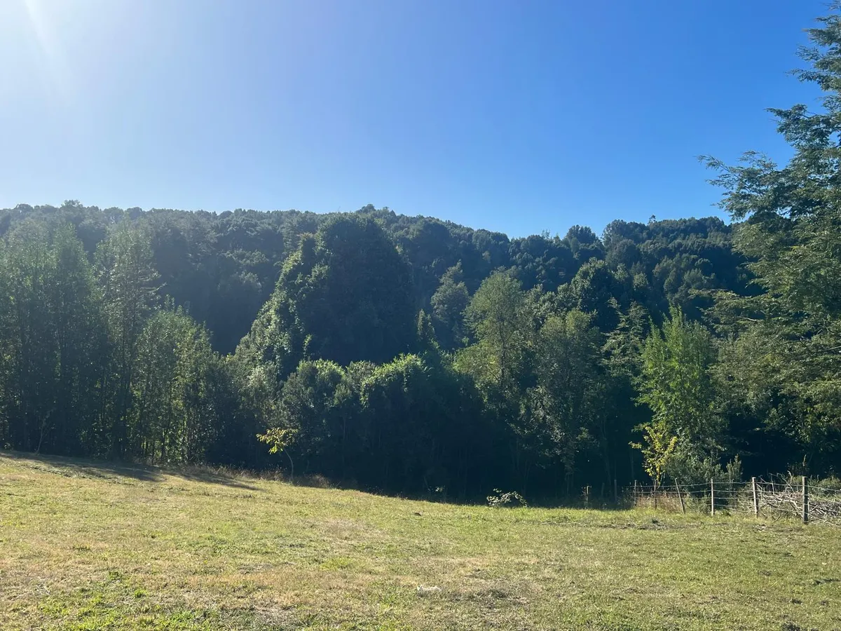 Casa de campo - Foto 3