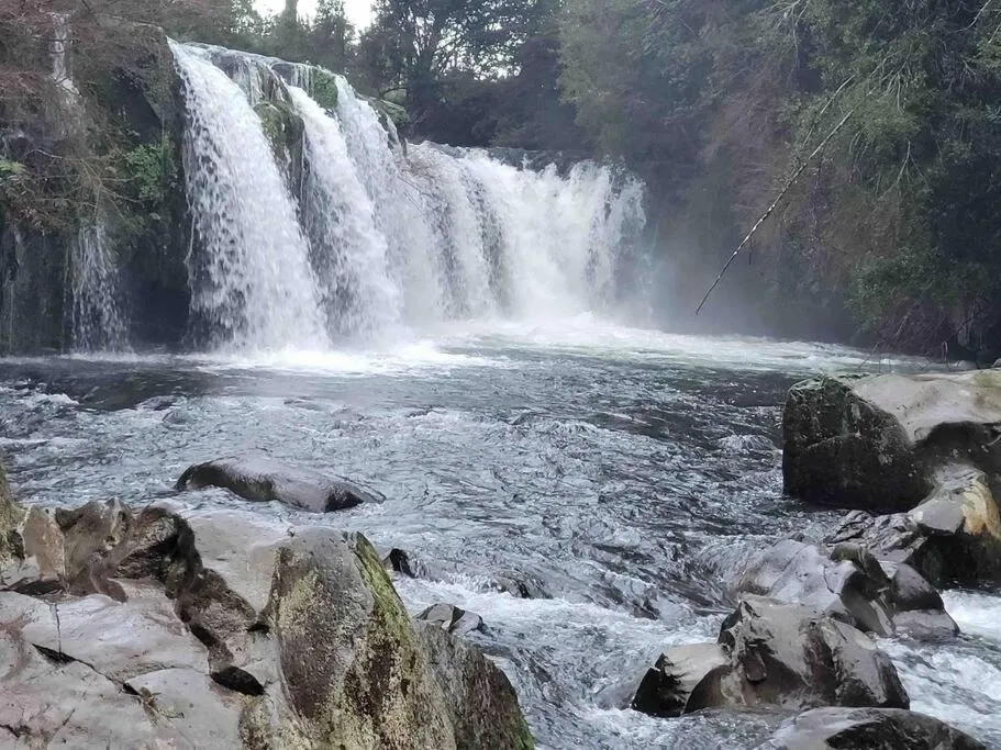 Casa de campo - Foto 4