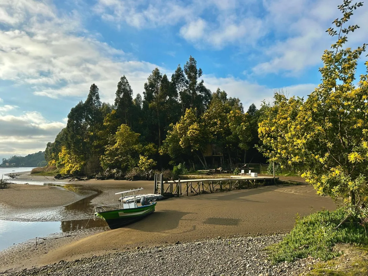 Casa en Bahía del rio Maule, naturaleza, tranquilidad, pet friendly - Foto 4