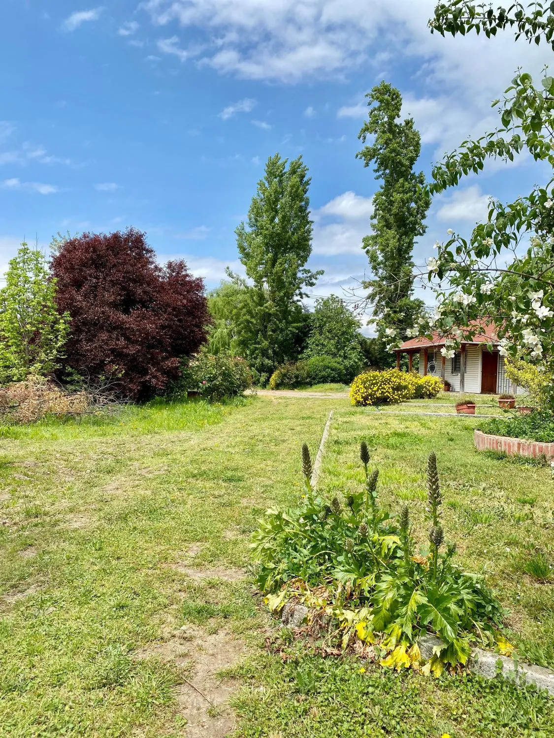 Casa en entorno natural en Curicó - Cabaña para 6 personas
