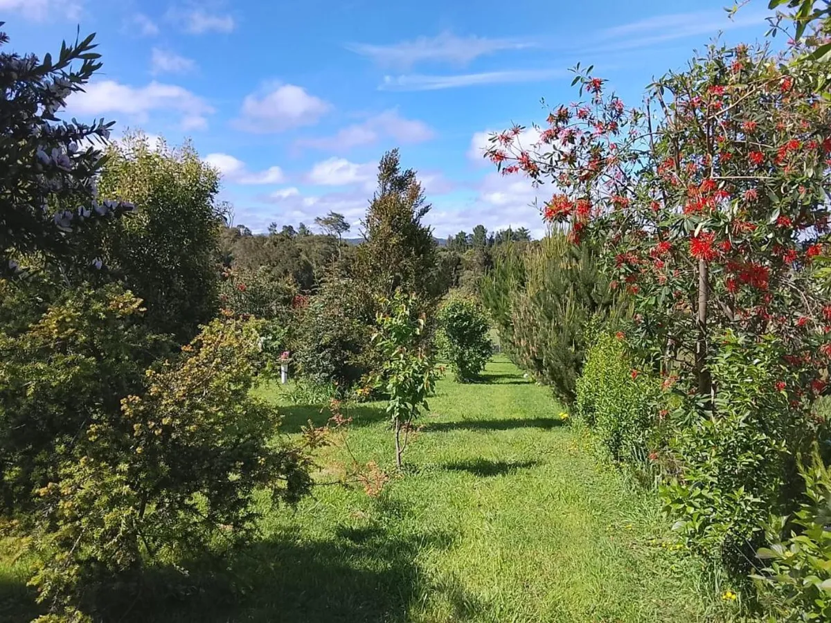 Casa en parcela - Foto 2