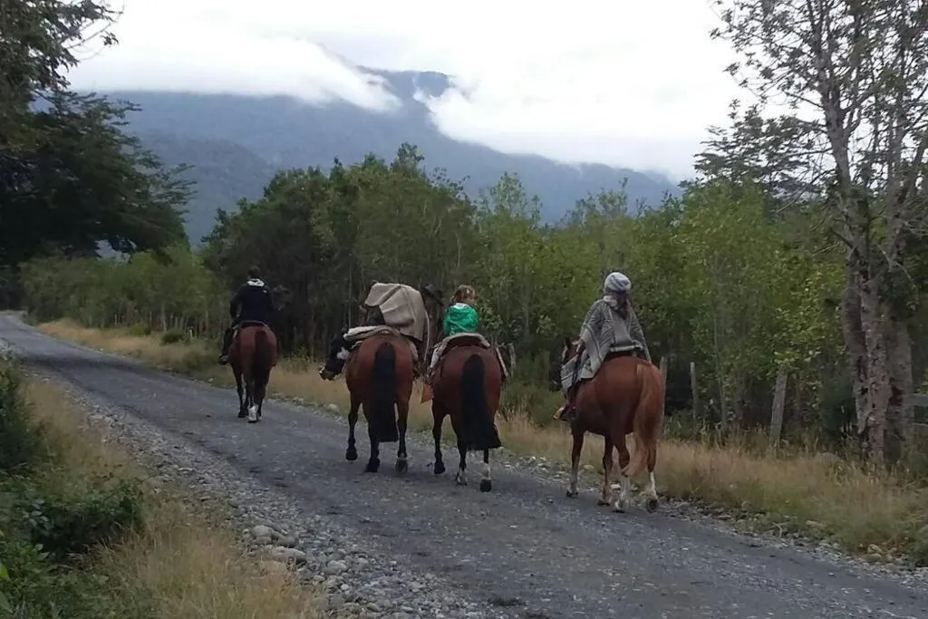 Casa en Río Puelo, Cochamo - Foto 3