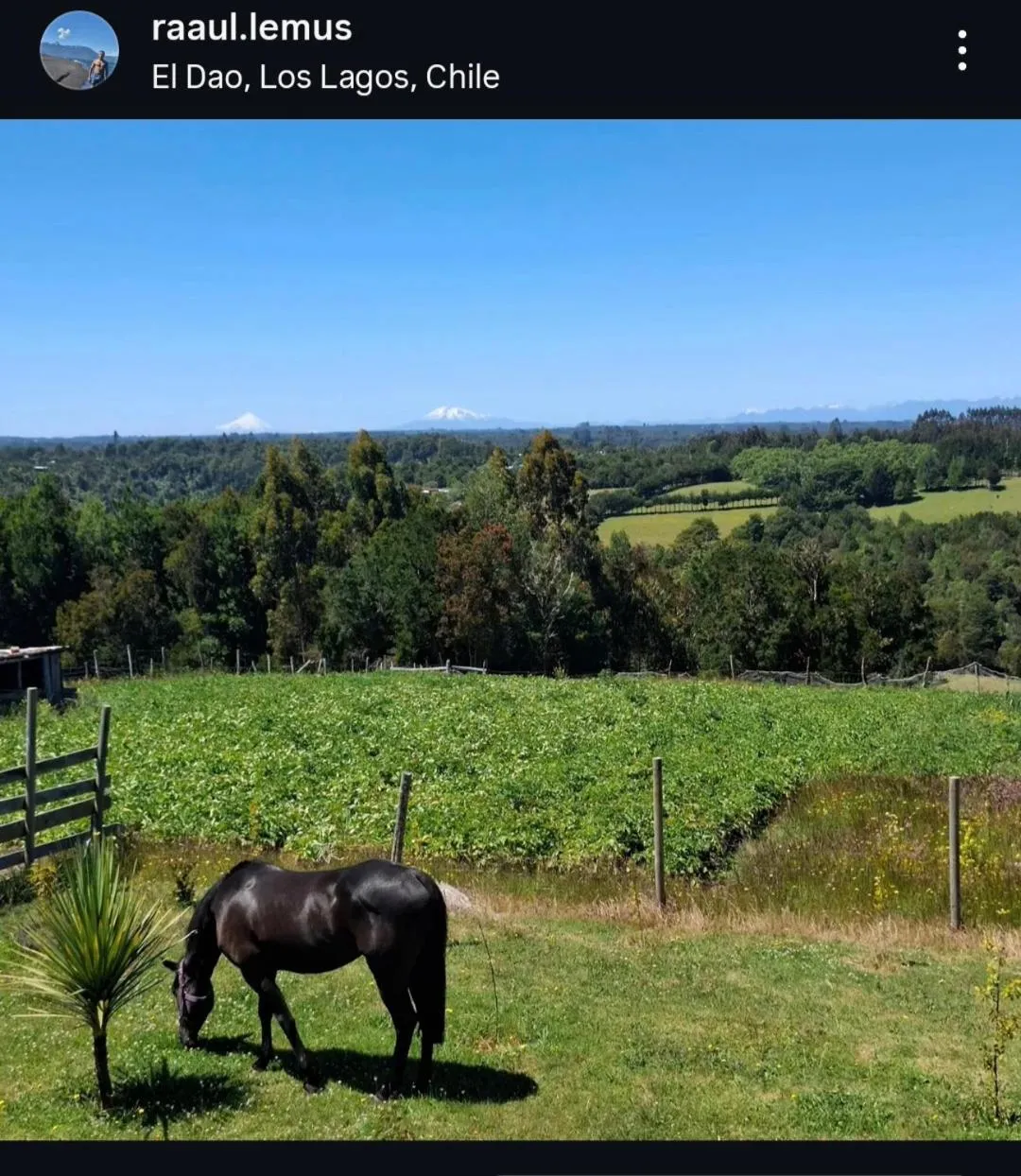 Casa grande el dao - Foto 2