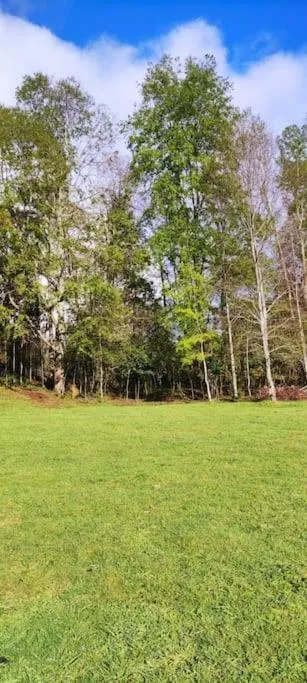 Casa Illahuapi - Lago Ranco - Foto 3