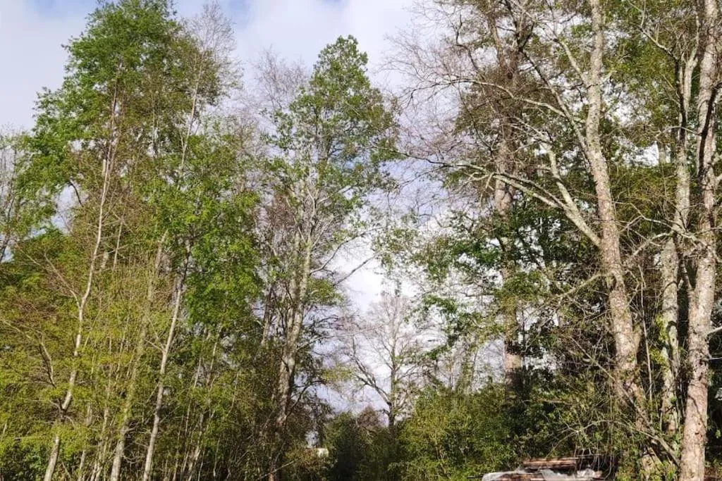 Casa Illahuapi - Lago Ranco - Foto 4