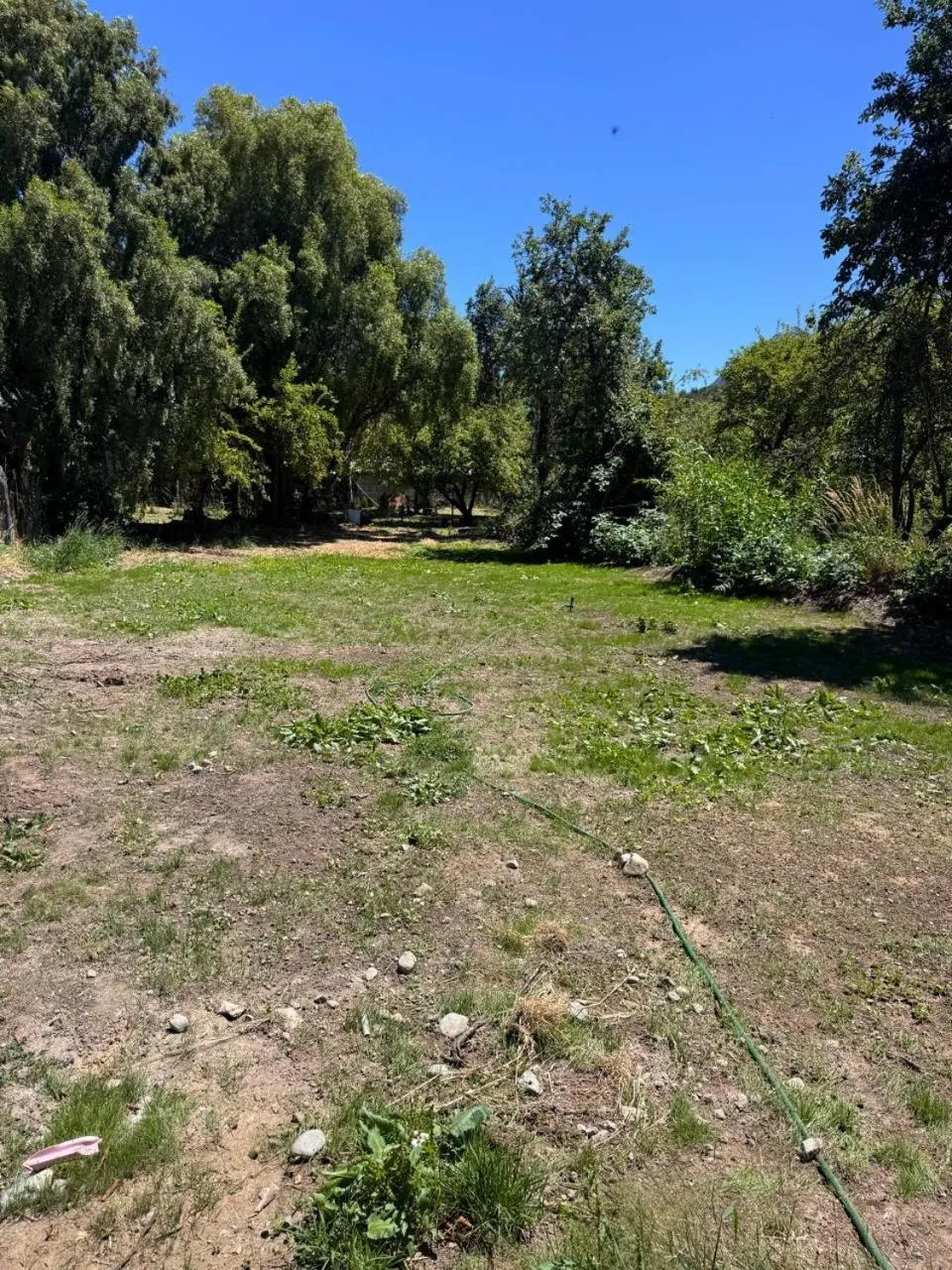 Casa Maya Modern central and pet friendly - Foto 4