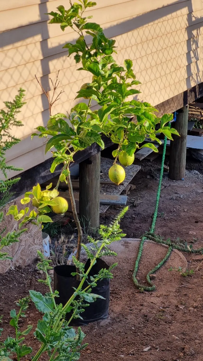 Casa mediterranea vista al mar - Foto 2