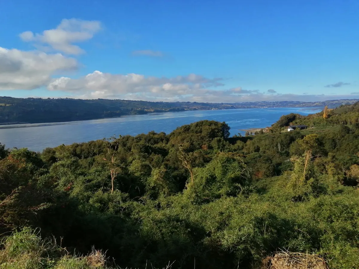 Casa Pascual - Foto 3