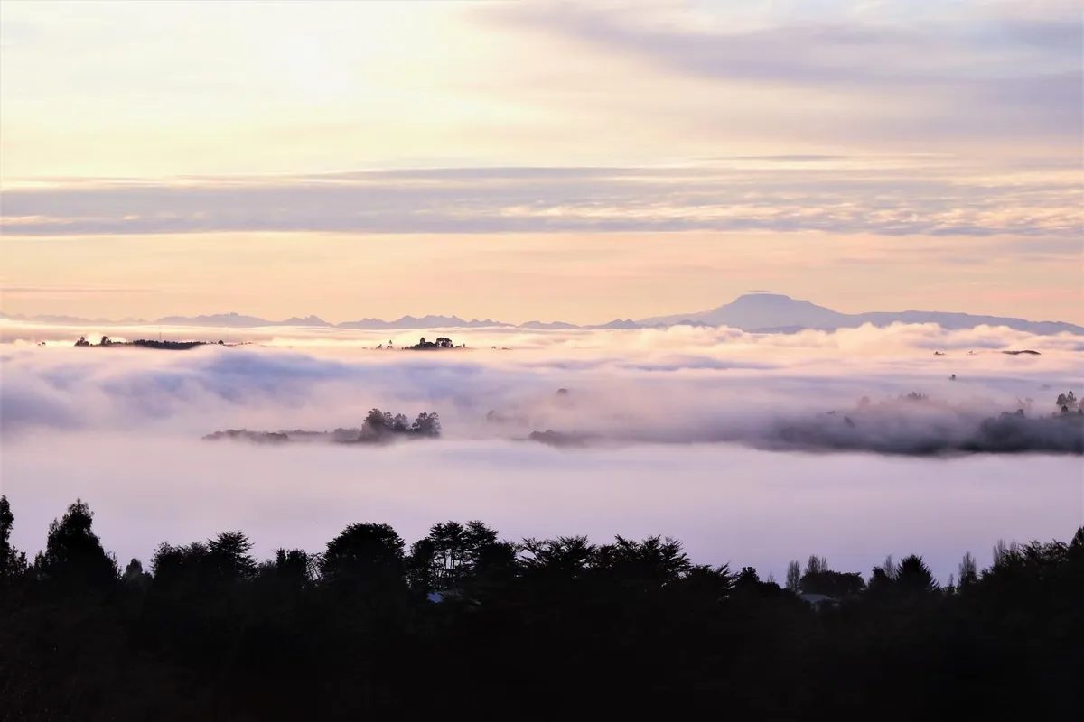 Casa Puente de Chiloé - Foto 4
