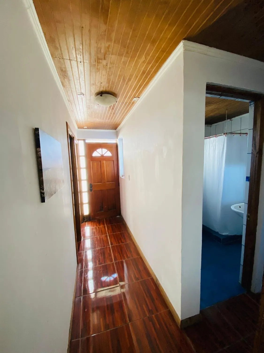 Casa y departamentos amoblados Talca - Foto 3