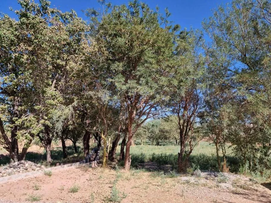 Casas Ohana Mahalo Aloha San Pedro de Atacama - Foto 3