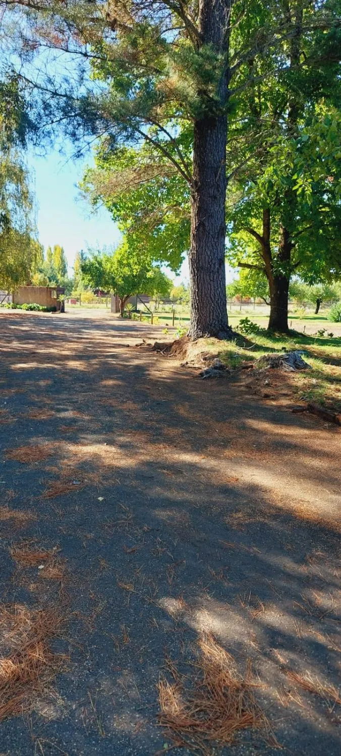 Casona en Quillón - Foto 3