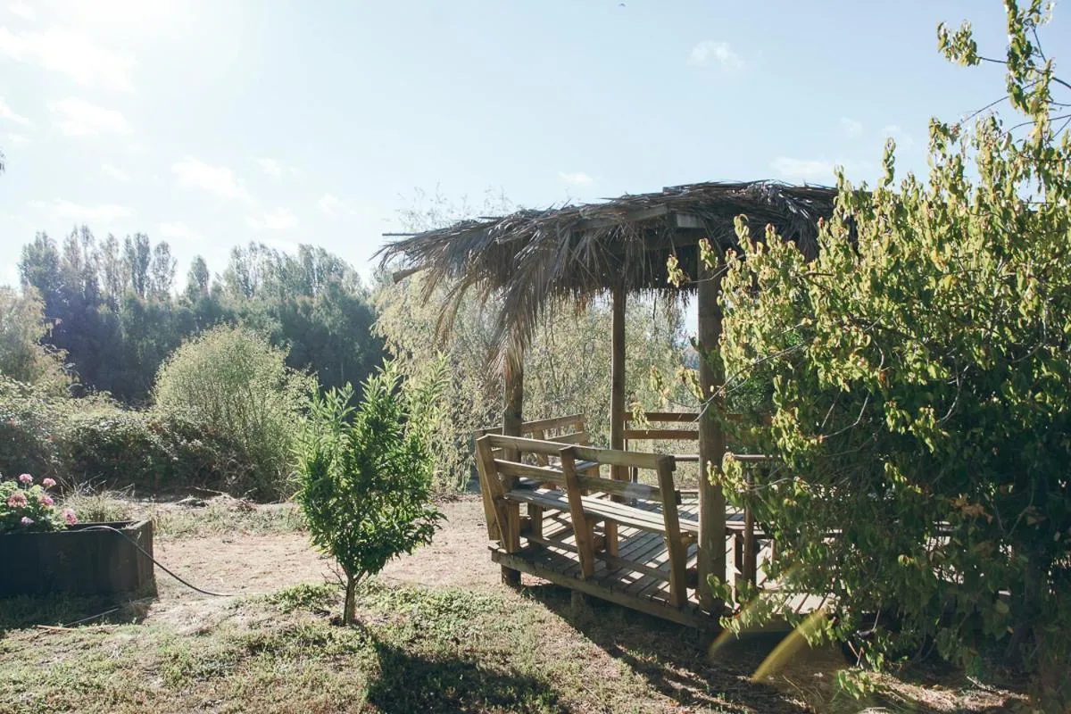 Casona La Masia, Pelarco - Foto 3