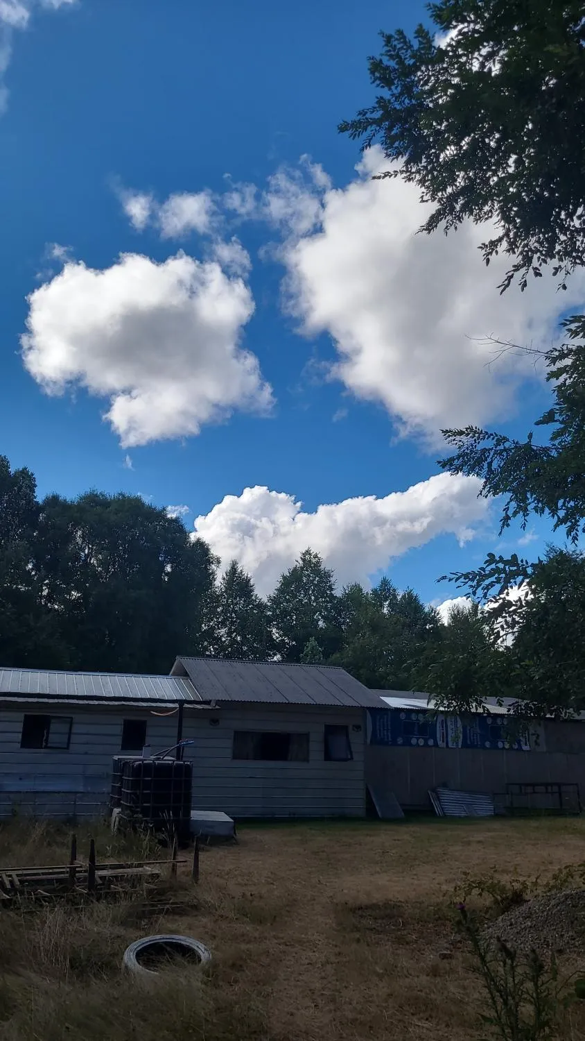 Cómoda Cabaña en hermoso Sector de Chesque - Foto 3