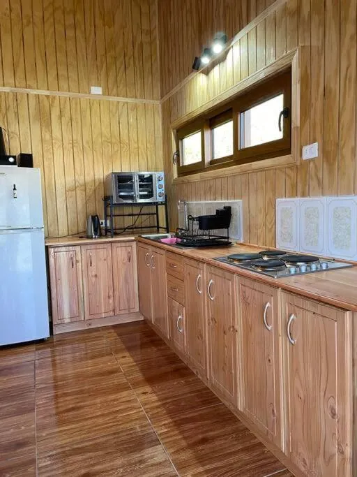 Comodidad y Hermosa Vista Volcán - Foto 4