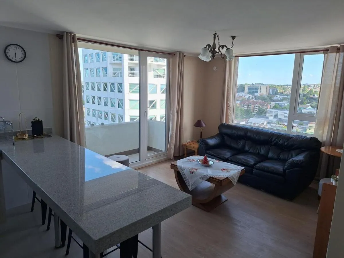 Cómodo y confortable departamento central en Osorno - Foto 3