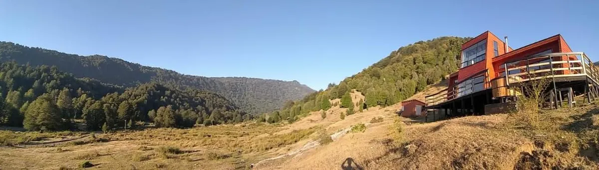 Das Glashaus - Foto 2