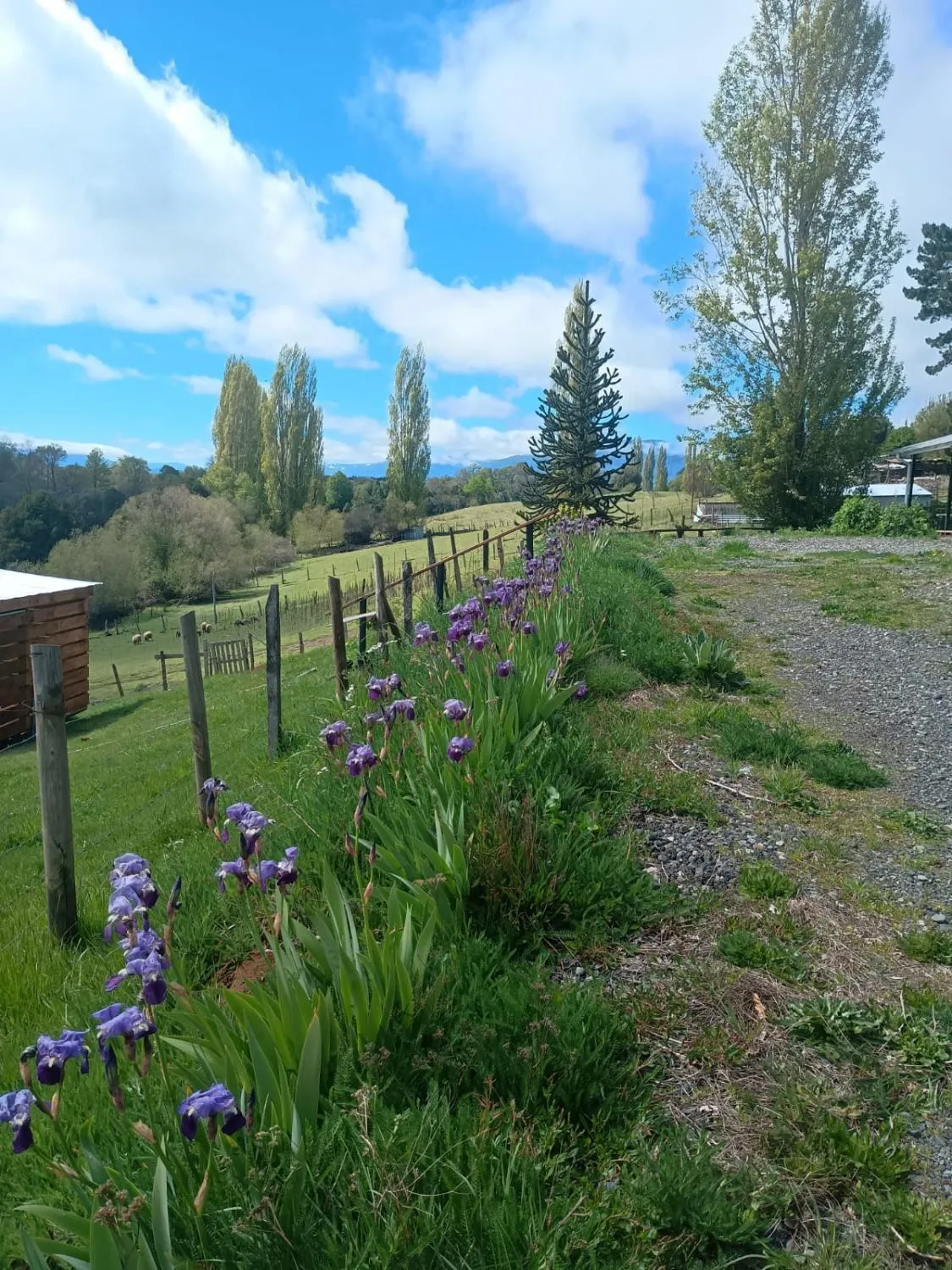 Del valle cabañas - Foto 3