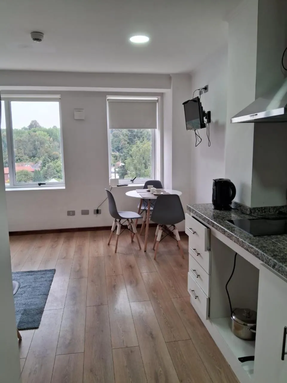 Departamento Los Carrera Centro - Foto 3