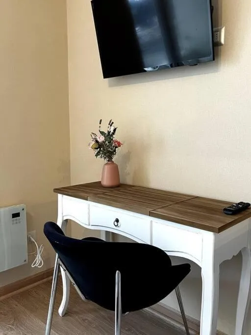 Departamento Mono - Ambiente - Foto 3