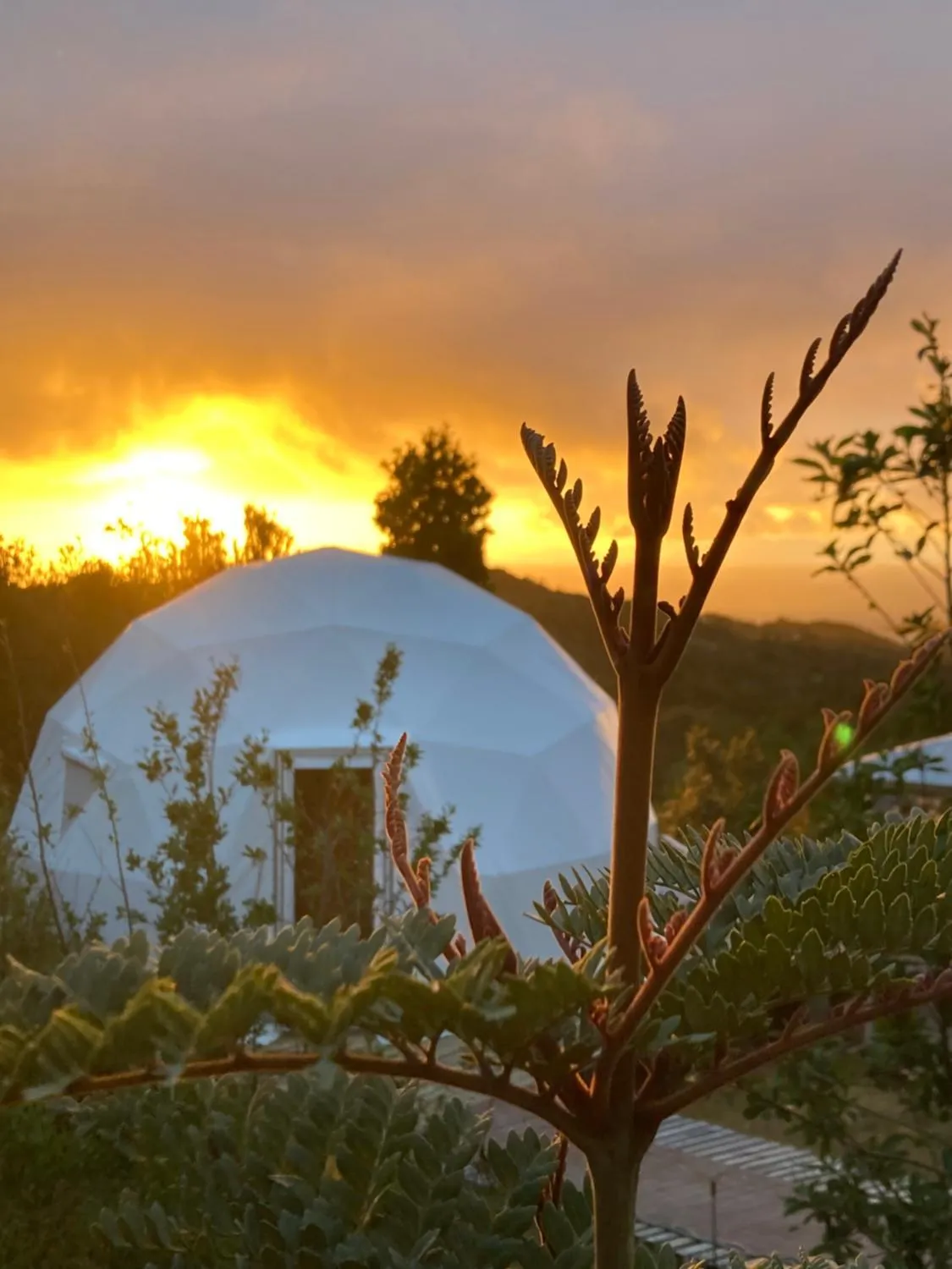 Domo con tinaja, Estaquilla - Foto 3