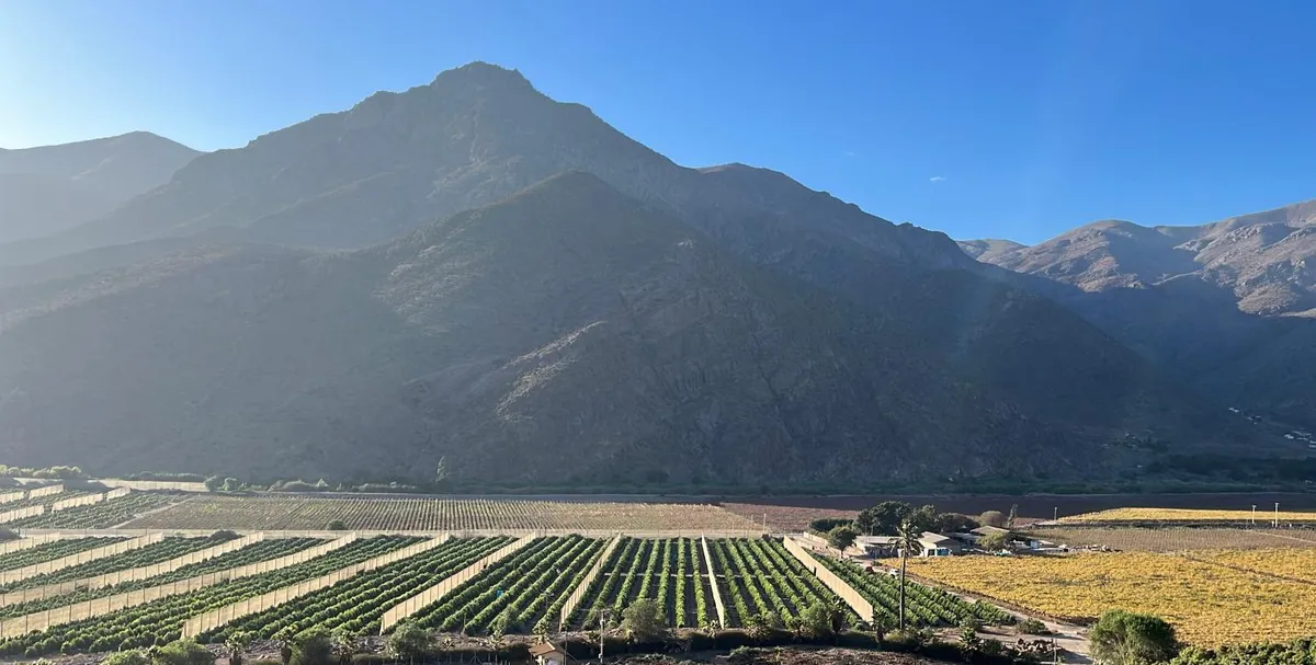 Elqui Valley Avocado Farm en Vicuña - Cabaña para 4 personas