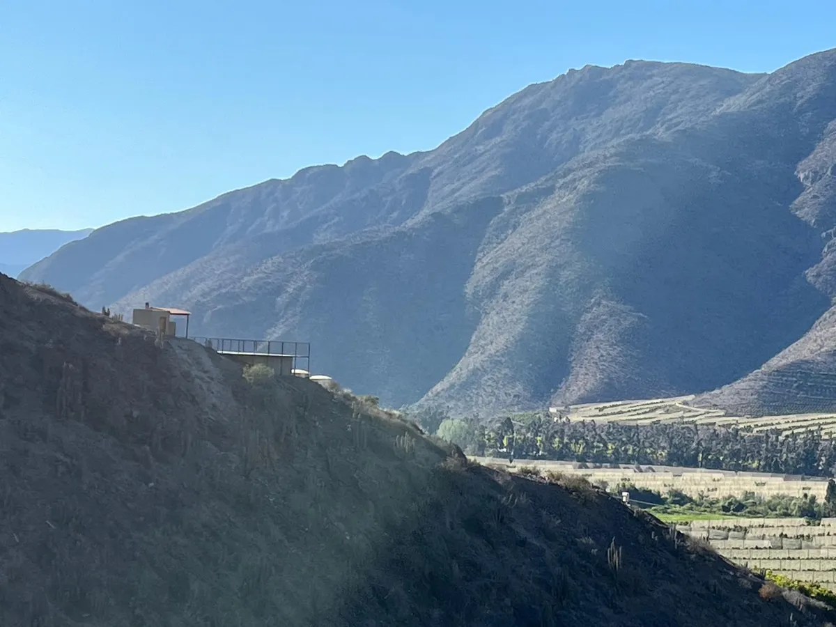 Elqui Valley Avocado Farm - Foto 2