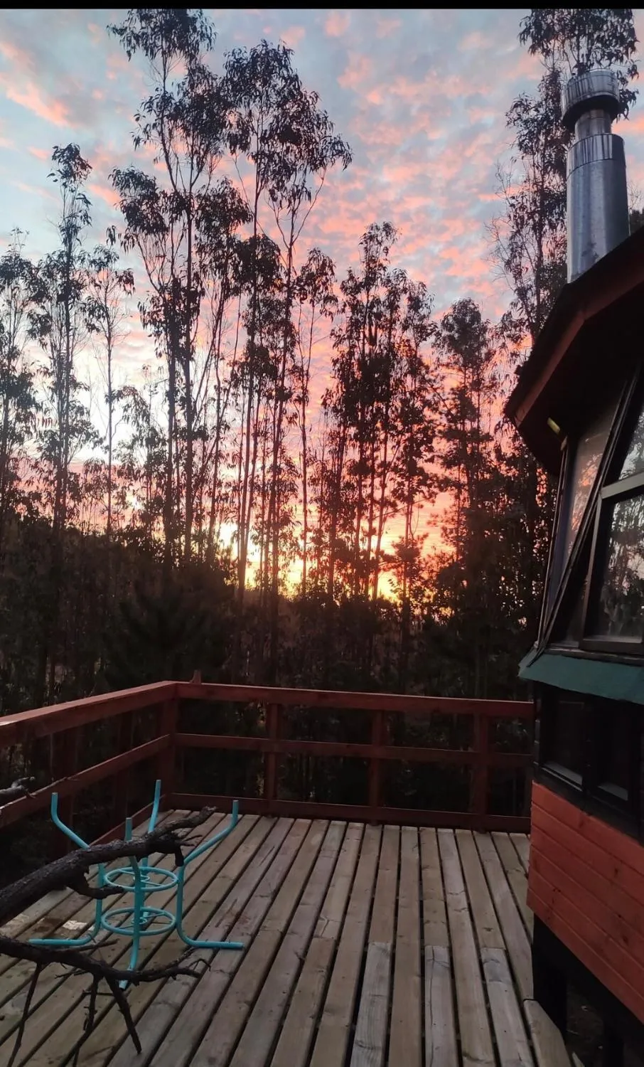 En mi Templo - Foto 3