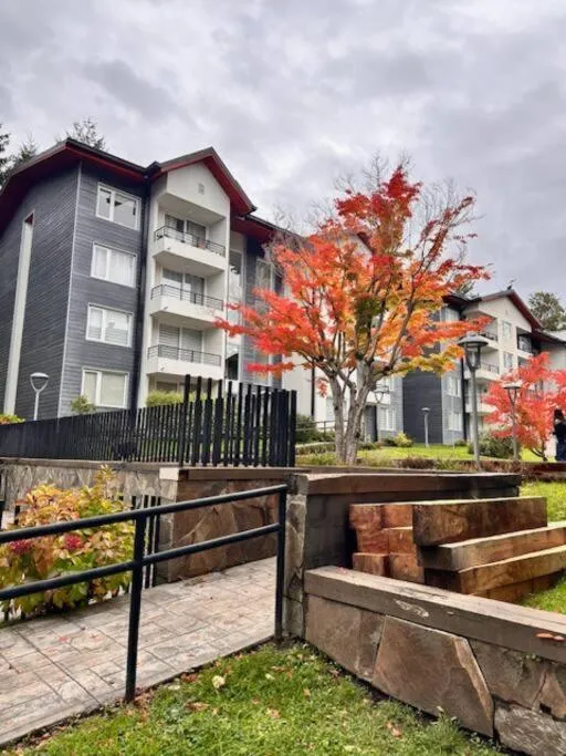 Excelente y Cómodo Departamento Cercano al Centro de Pucón y Volcán Villarica - Foto 2