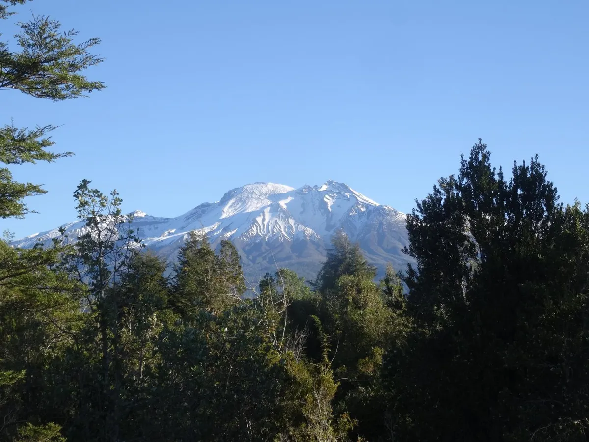 Hamilton's Place Bed and Breakfast - Foto 3