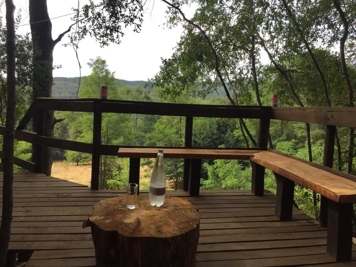 Hermosa Cabaña Rústica Bosque Ámbar en Chillán - Cabaña para 6 personas