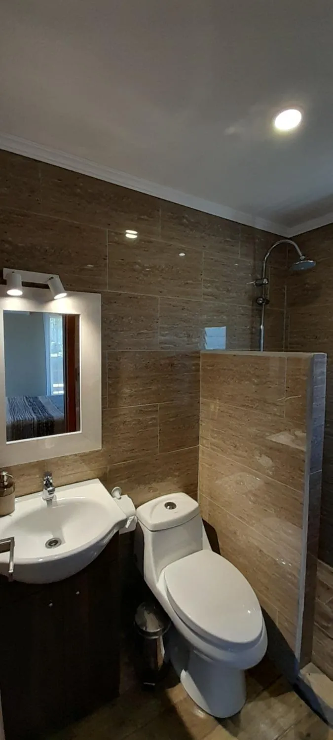 Hostal Lago Ranco Boutique - Foto 2