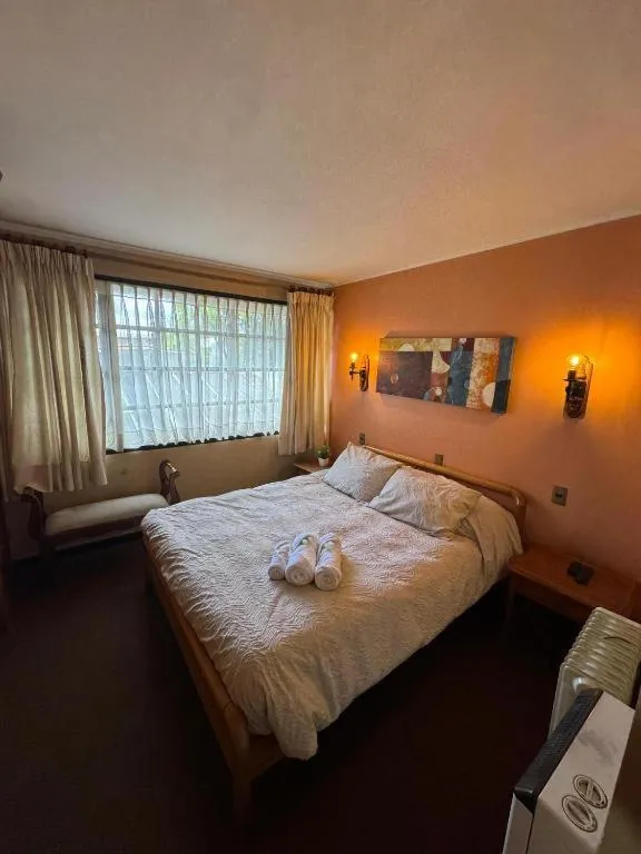 Hotel Boutique WenuPillan - Foto 4