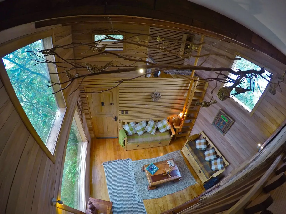 La Casa del Árbol de Chiloé - Foto 2
