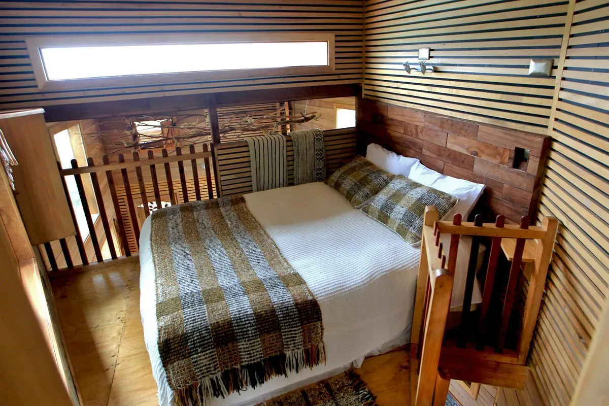 La Casa del Árbol de Chiloé - Foto 4