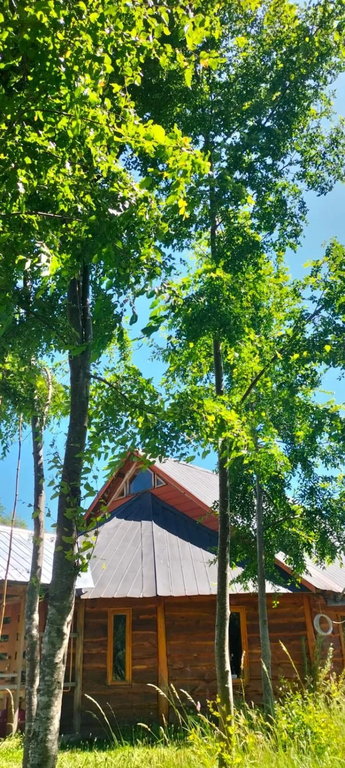 La Reserva del Curaco - Foto 3