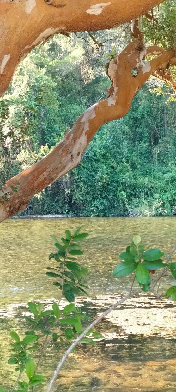 La Reserva del Curaco - Foto 4