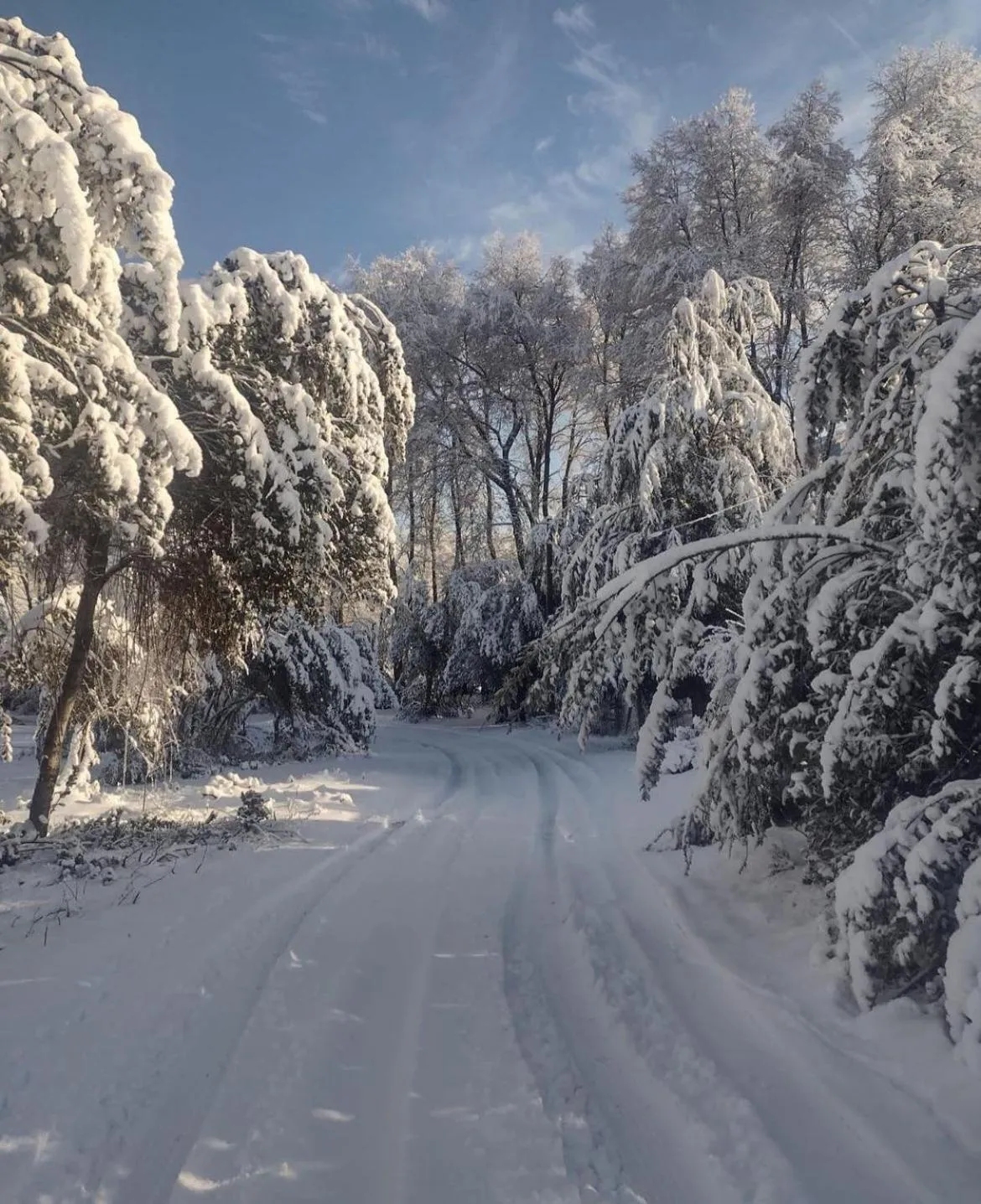 Les Chalets du Belvédère - Foto 3